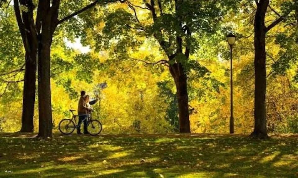 Highlights of Oslo guided bike tour