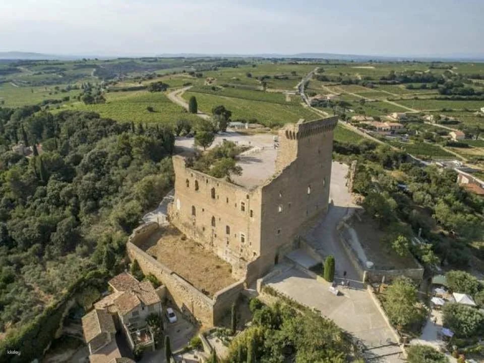 Morning Wine Tour to Châteauneuf-du-Pape from Avignon