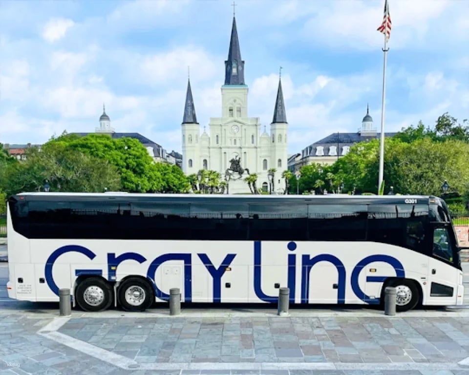 New Orleans City and Cemetery Tour (613706)