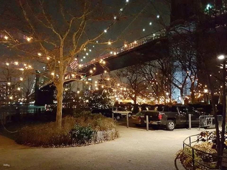 Christmas lights tour in Dyker Heights, Brooklyn