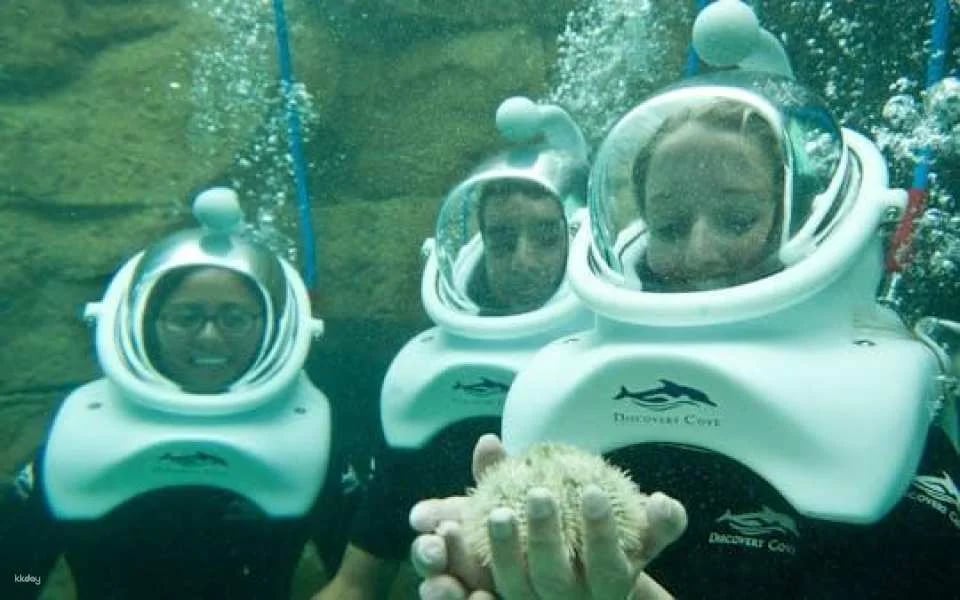 SeaVenture at Discovery Cove 2026