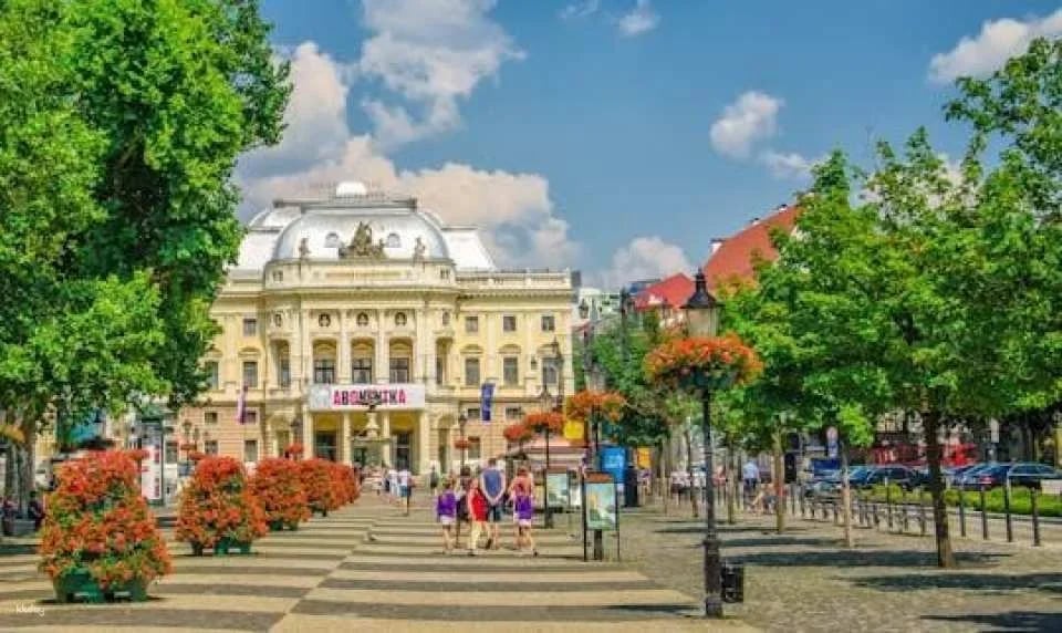 Bratislava walking tour with castle entrance ticket