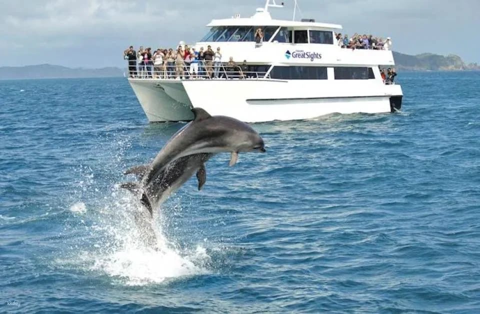 Small group day tour to Bay of Islands from Auckland