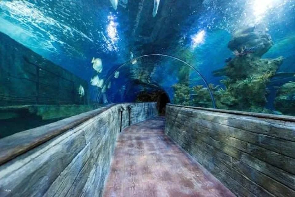 Malta National Aquarium Ticket (620172)