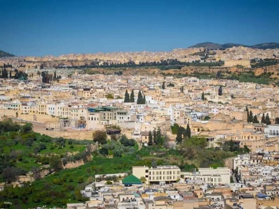 Full-day Fez city tour with local guide