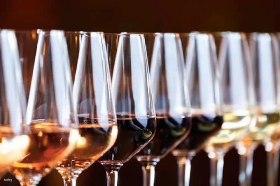 Slovak wine tasting with a sommelier in Bratislava