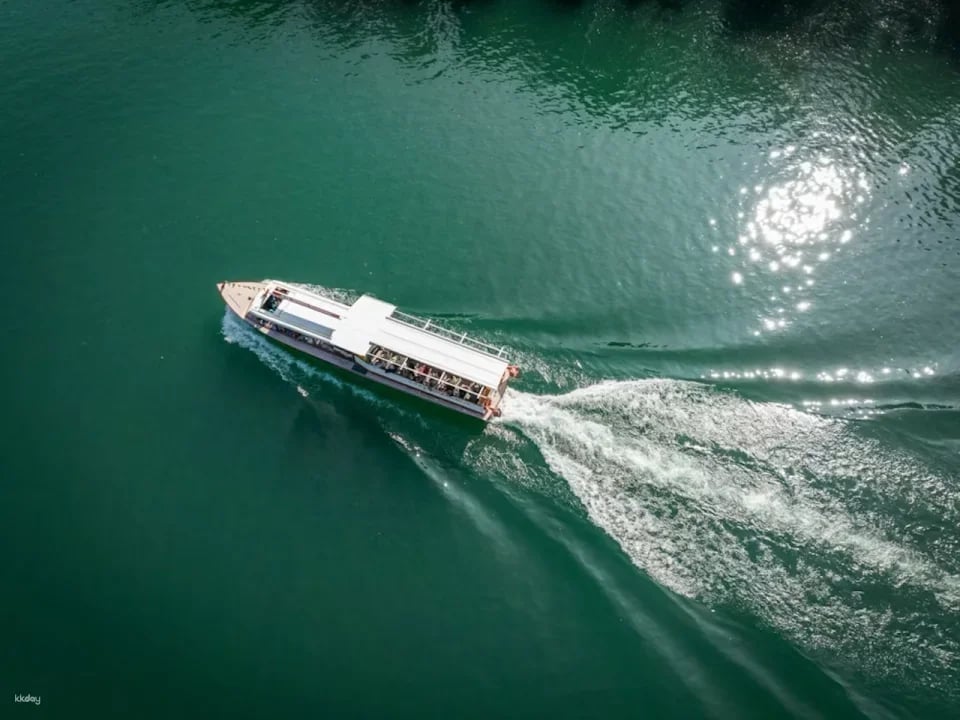 Rhine Falls to Rheinau: 3B Large Circular Cruise | Switzerland (631205)