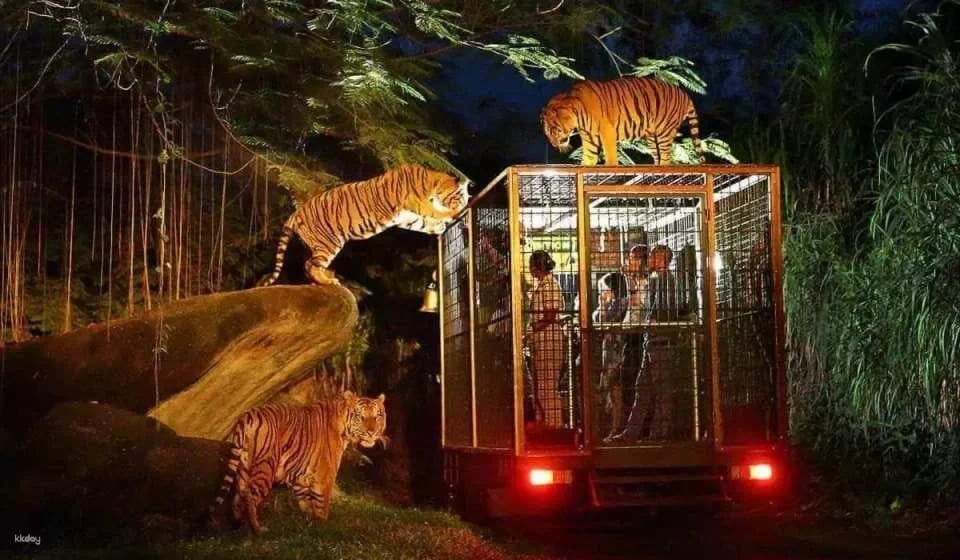 [Bali] Safari Marine Park Admission Ticket - Choose from Jungle Hopper, Dragon Night, Rhino Safari