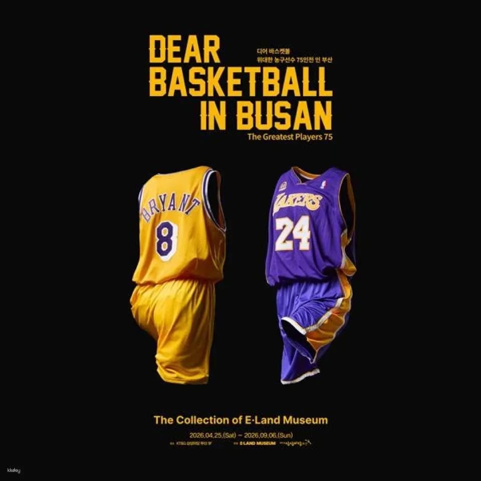 [Busan] Dear Basketball in Busan (634692)