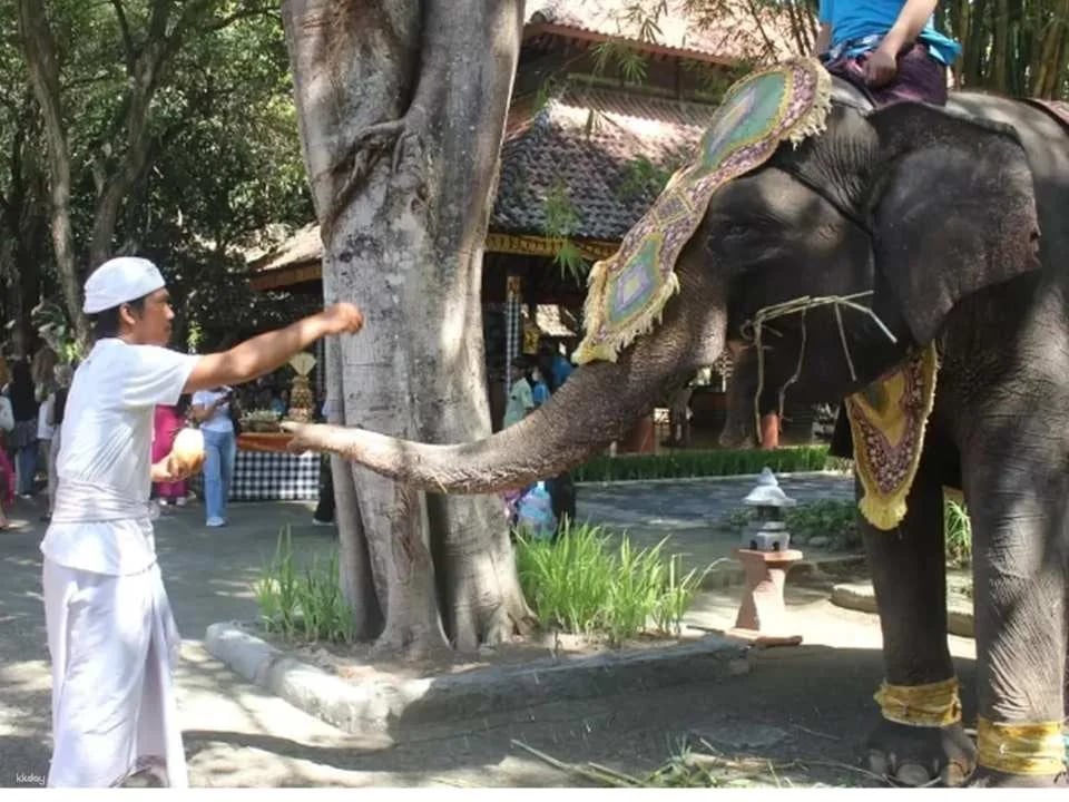 Jungle Vibe & Wildlife Drive: Bali Safari Day Experience