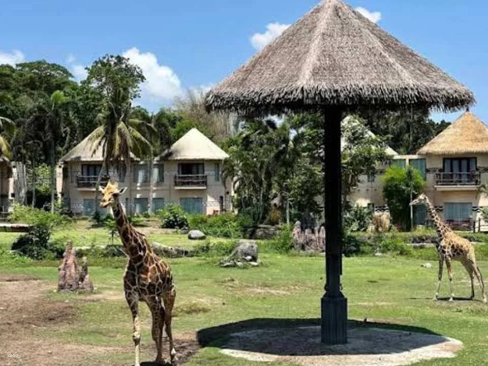 Jungle Vibe & Wildlife Drive: Bali Safari Day Experience