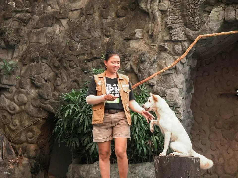 Jungle Vibe & Wildlife Drive: Bali Safari Day Experience