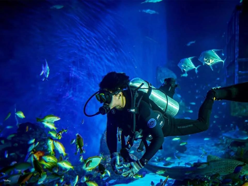 Unleash Your Aquatic Curiosity: Marine Safari Bali Experience