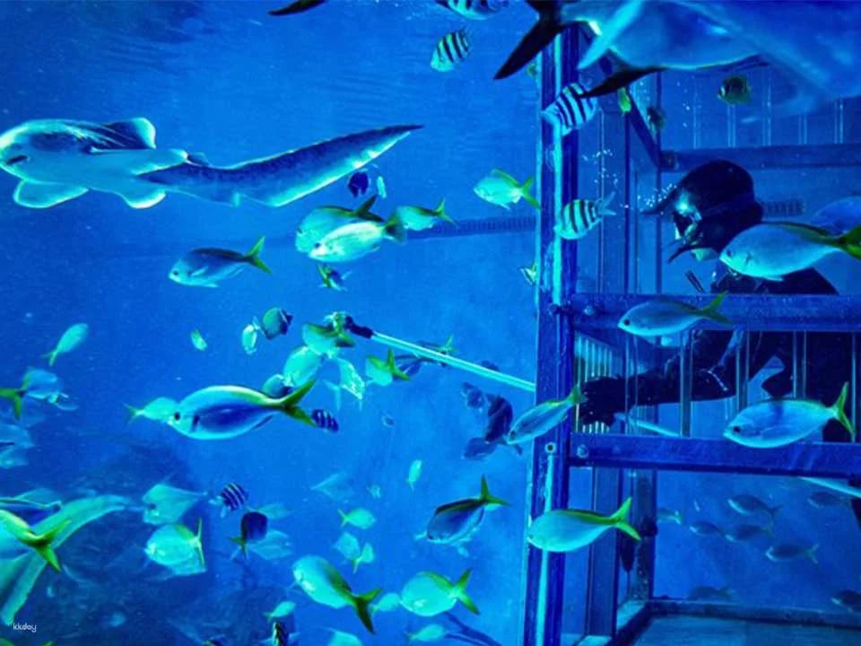 Unleash Your Aquatic Curiosity: Marine Safari Bali Experience