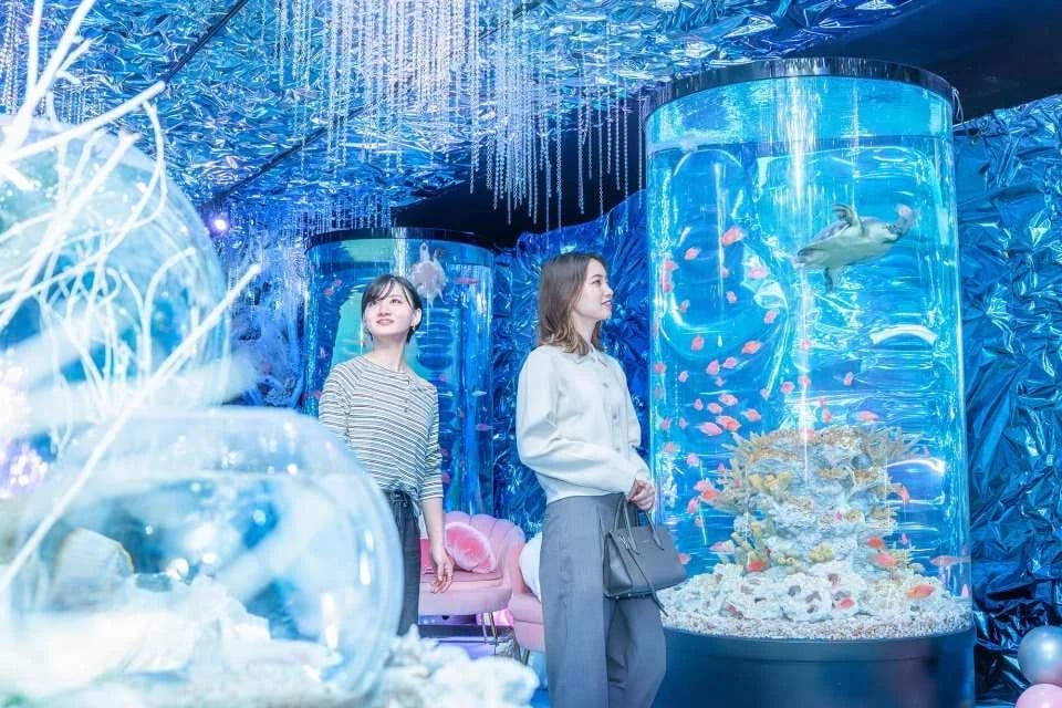 [KKday Multilingual] Hirakata Park Advance Tickets | Instant Booking (Hirakata City, Osaka Prefecture)