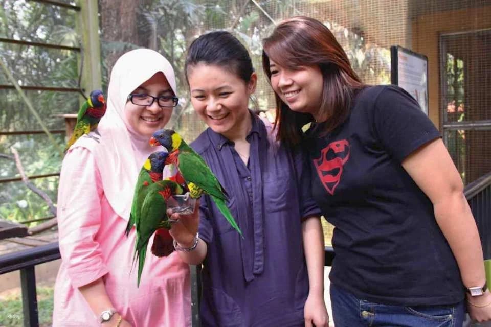 KL Bird Park Admission Ticket with One-Way Transfer in Kuala Lumpur | Malaysia