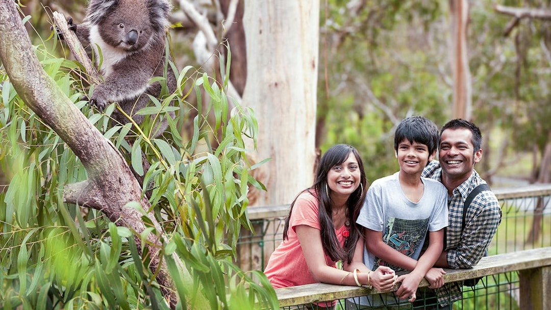 Family smiling near a koala at Koala Conservation Reserve, Phillip Island.