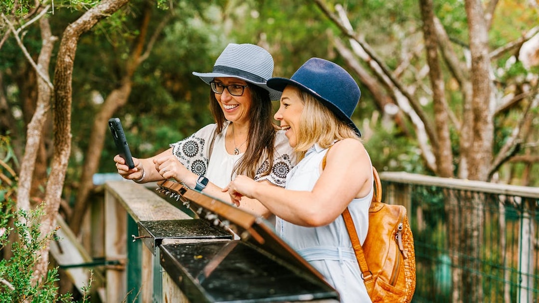 Visitors enjoying the boardwalk at Koala Conservation Reserve, Phillip Island.