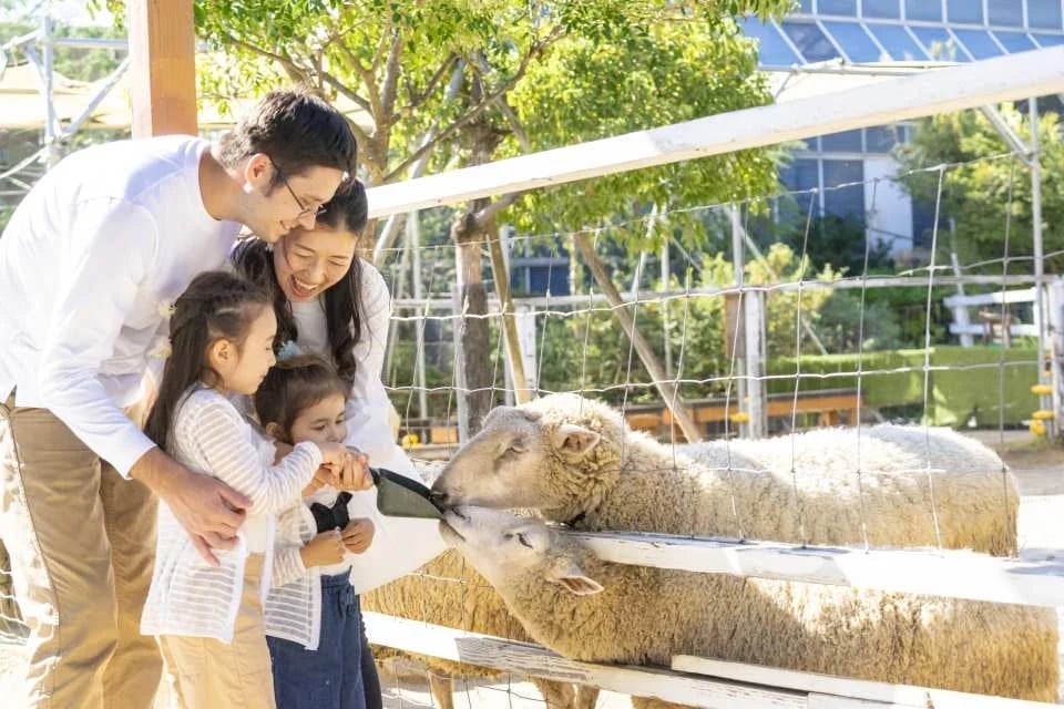 Kobe Animal Kingdom Admission Ticket | Japan