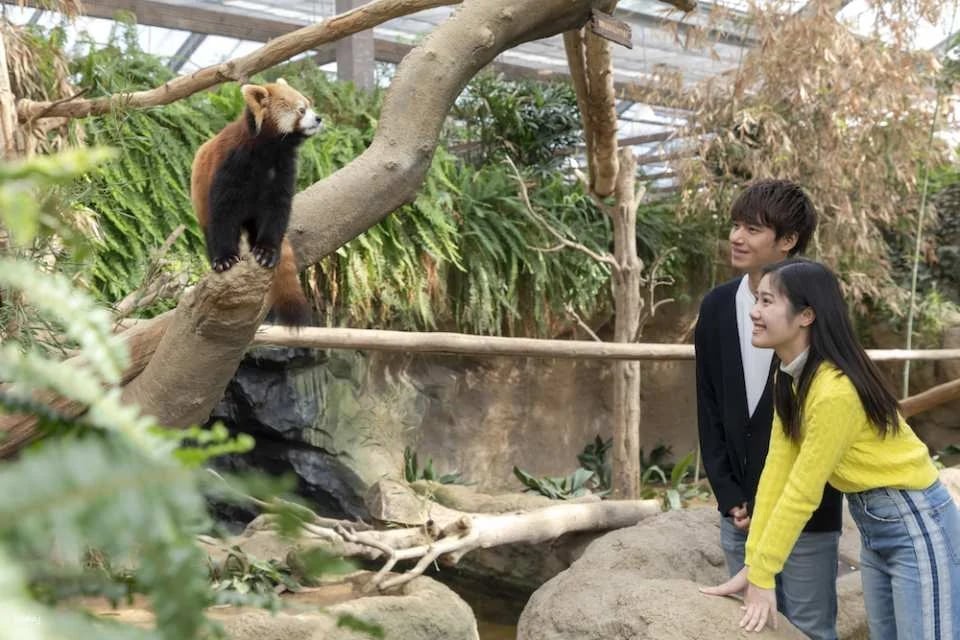Kobe Animal Kingdom Admission Ticket | Japan