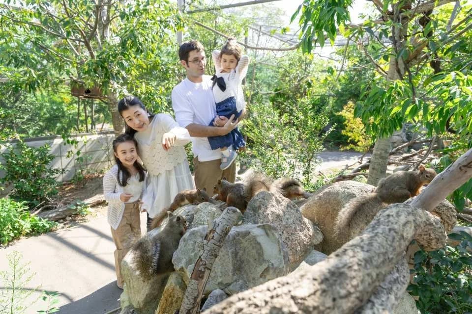 Kobe Animal Kingdom Admission Ticket | Japan