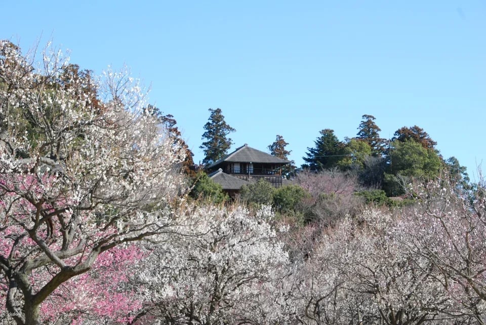 Kobun-tei viewing ticket (Mito City, Ibaraki Prefecture)