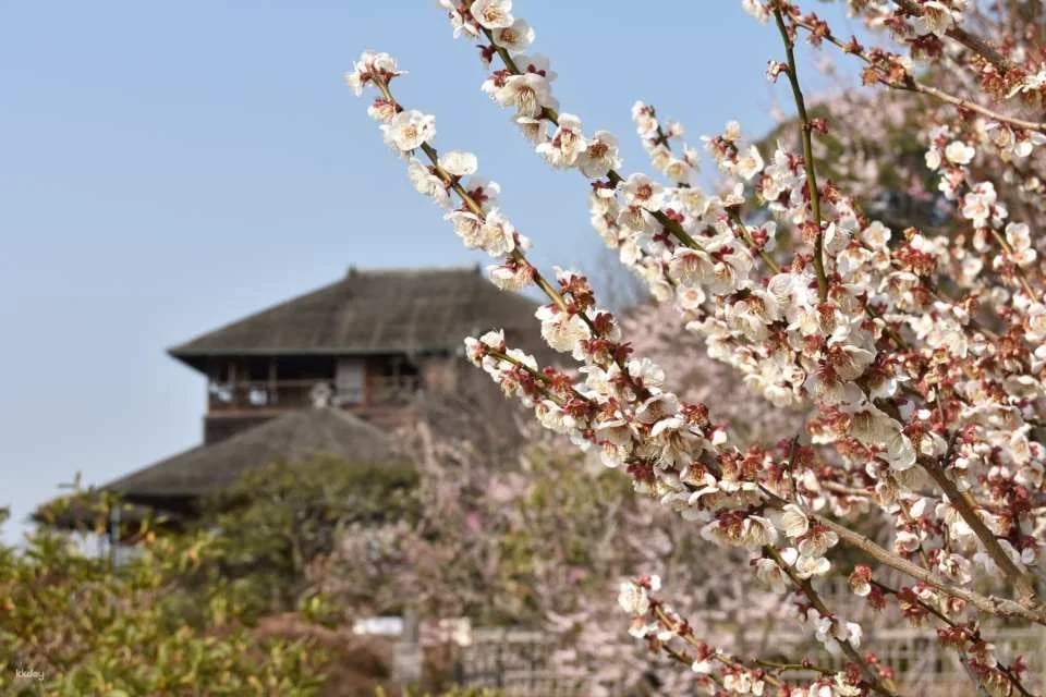 Kobun-tei viewing ticket (Mito City, Ibaraki Prefecture)
