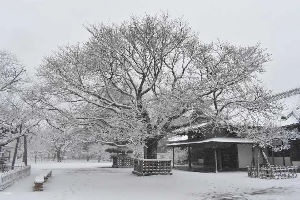 Kodokan admission ticket (Mito City, Ibaraki Prefecture)