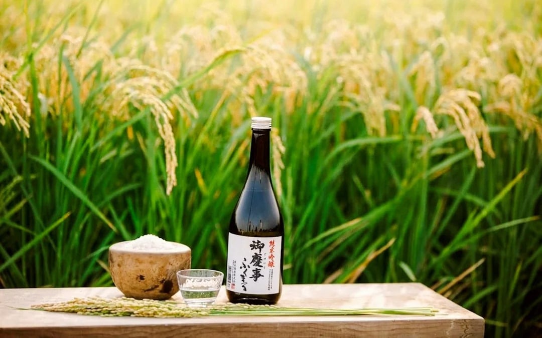 Koga: Aoki Shuzo Sake Brewery Tour with Tasting Image 1