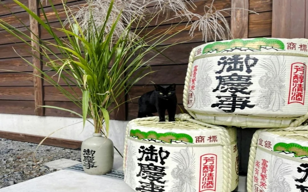 Koga: Aoki Shuzo Sake Brewery Tour with Tasting Image 7