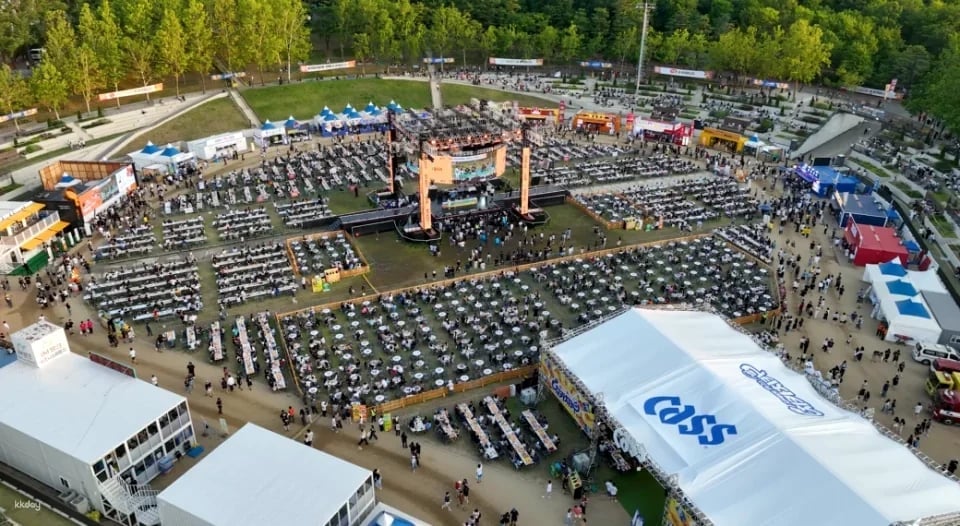 Daegu Summer Festival | Chicken and Beer Festival Premium Zone Pass