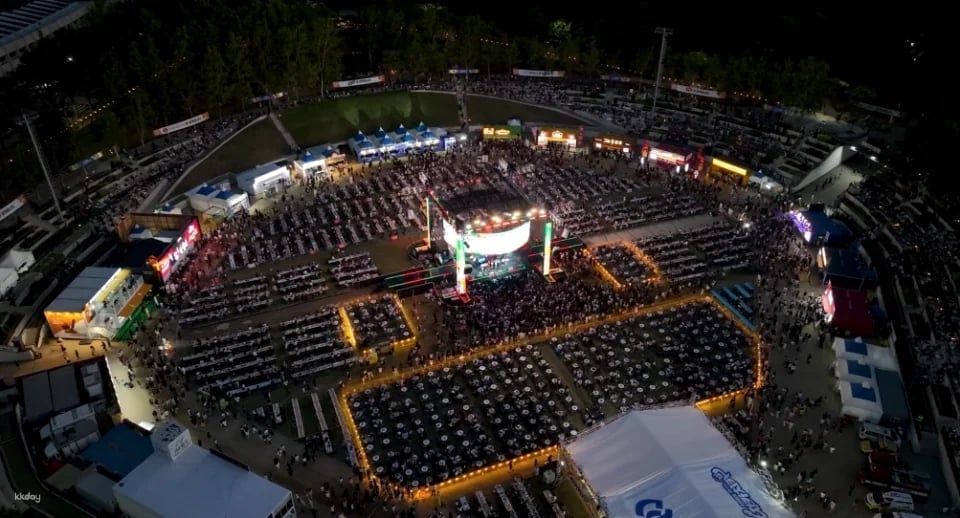 Daegu Summer Festival | Chicken and Beer Festival Premium Zone Pass