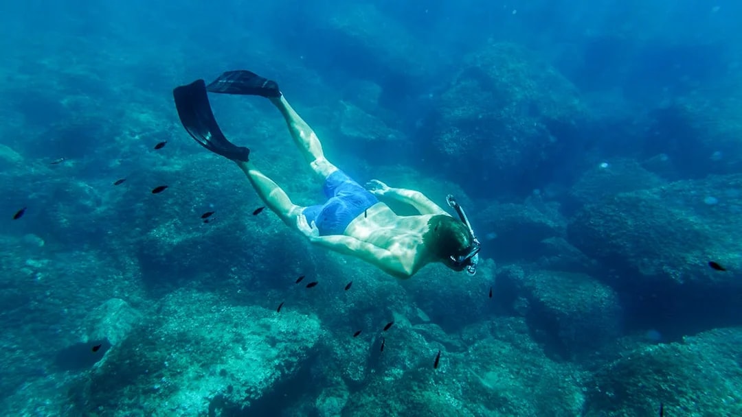 Snorkeler exploring underwater rocks in Kotor Bay during full day tour.
