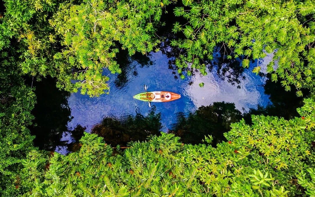 Krabi: Kayak Adventure through Ao Thalane Mangrove Forest Image 1