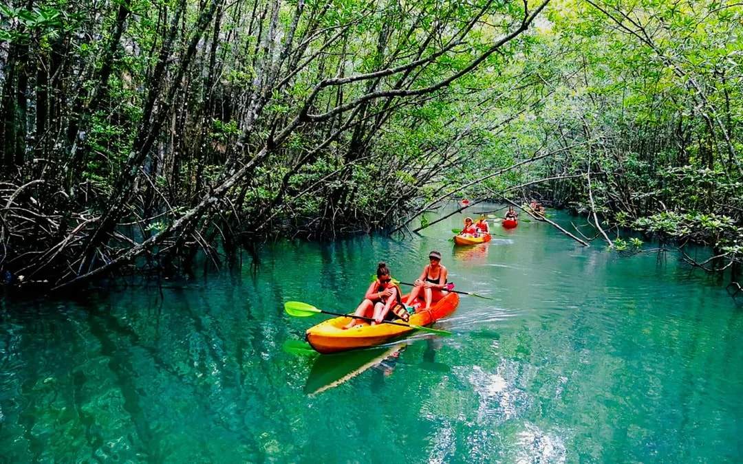 Krabi: Kayak Adventure through Ao Thalane Mangrove Forest Image 11