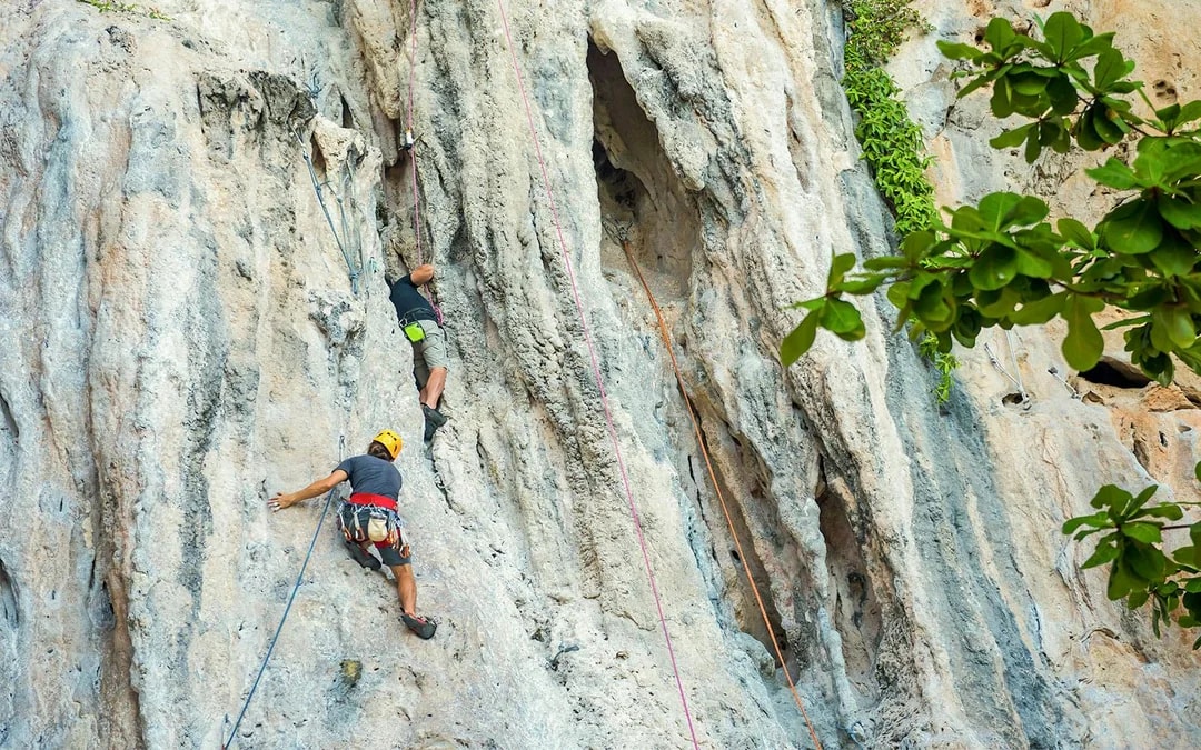 Krabi: Rock Climbing Course at Railay Beach with Hotel Transfers Image 9
