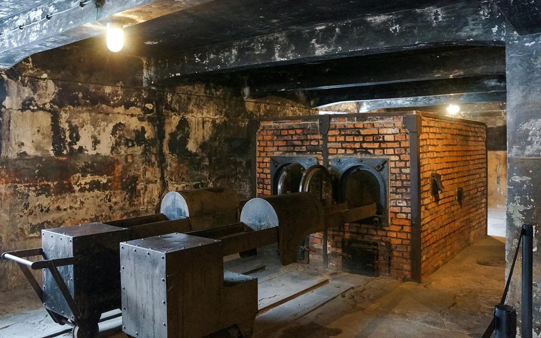  From Krakow: Auschwitz-Birkenau & Wieliczka Salt Mine Guided Tour
 Image 7