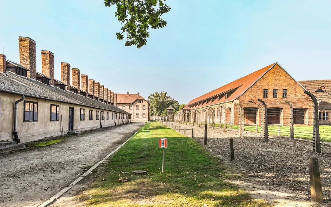  From Krakow: Auschwitz-Birkenau & Wieliczka Salt Mine Guided Tour
 Image 3