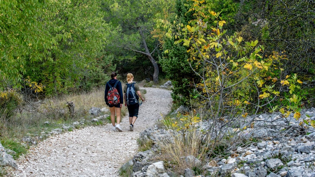 Hikers walking on a trail surrounded by greenery in Krka National Park.