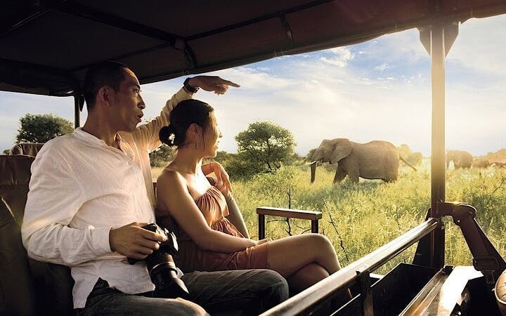Kruger National Park Overland Safari Tour from Johannesburg with Sunset Game Drive and Meals Image 6