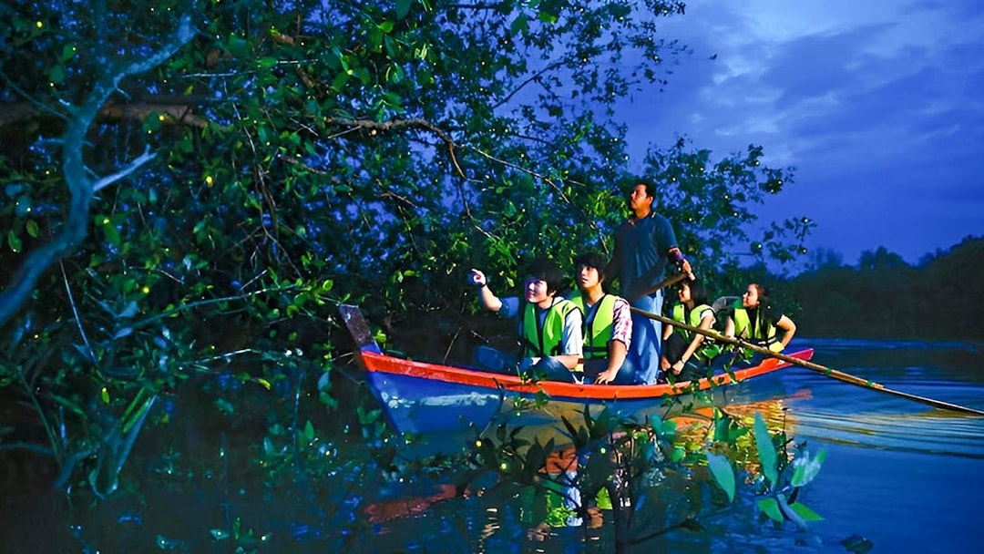 People on a boat observing fireflies in Kuala Selangor tour.