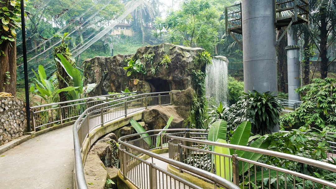 Walkway through lush greenery and waterfall at Kuala Lumpur Bird Park.