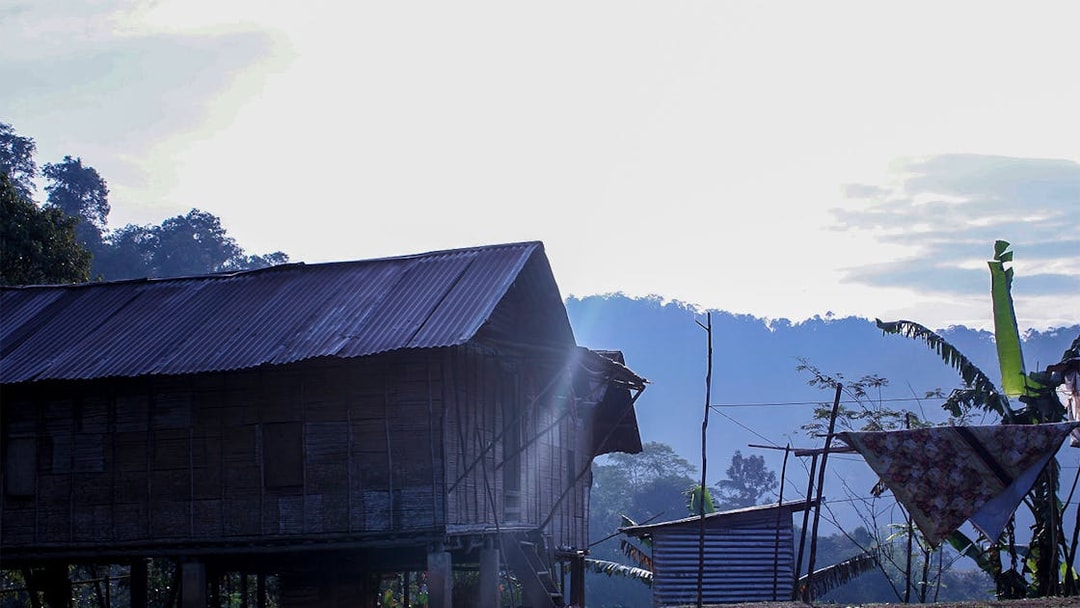 Traditional wooden house in Cameron Highlands with misty hills in the background.