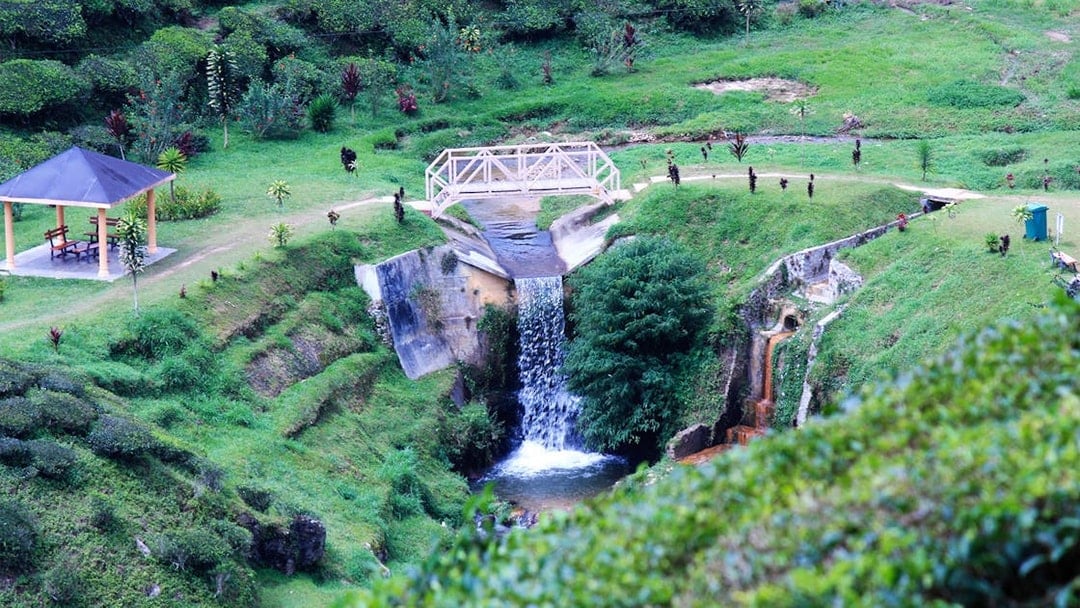 Full-Day Guided Tour of Cameron Highlands with Shared Transfers from Kuala Lumpur, Pahang