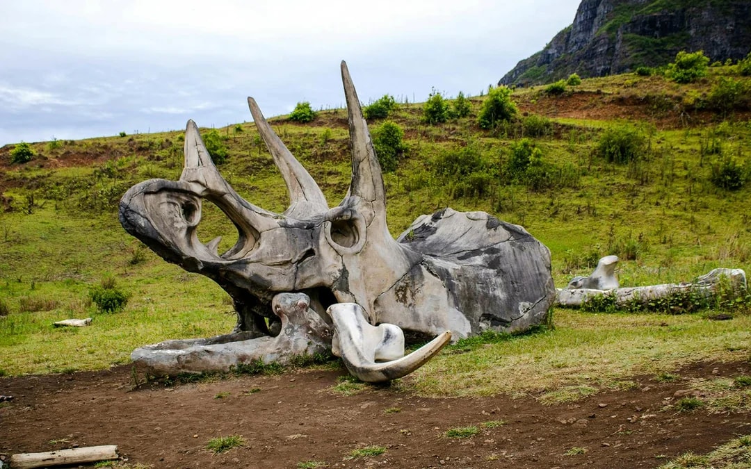 Kualoa Ranch: Jurassic Adventure Tour Image 6