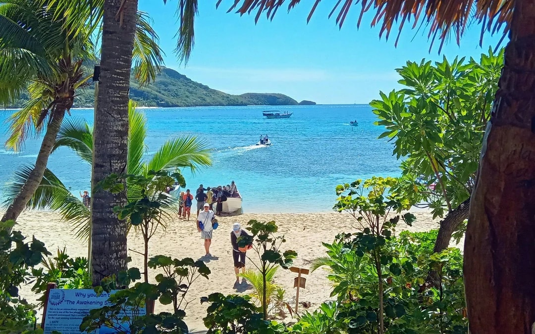 Kuata Island Marine Conservation Experience With Lunch Image 6