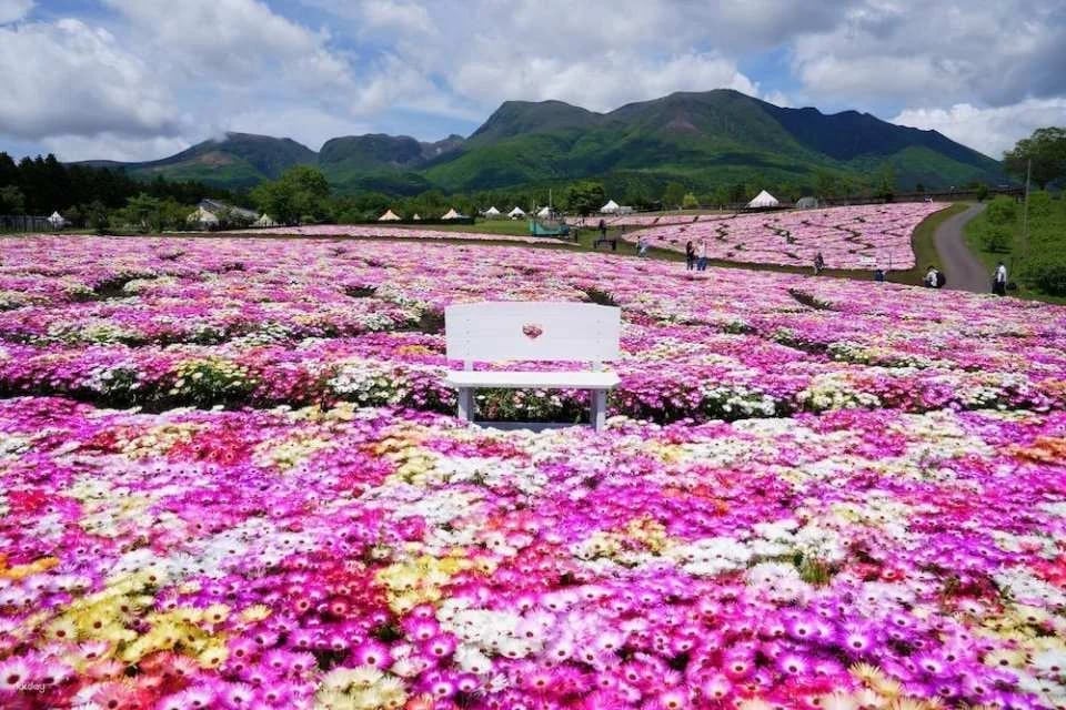 Kuju Flower Park Admission Ticket (Taketa City, Oita Prefecture)