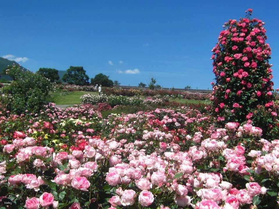 Kuju Flower Park Admission Ticket (Taketa City, Oita Prefecture)