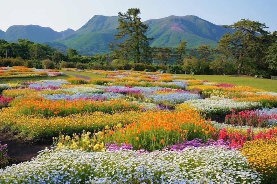 Kuju Flower Park Admission Ticket (Taketa City, Oita Prefecture)
