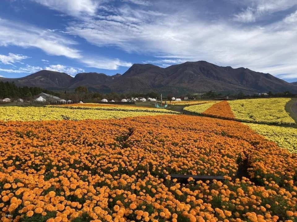 Kuju Flower Park Admission Ticket (Taketa City, Oita Prefecture)